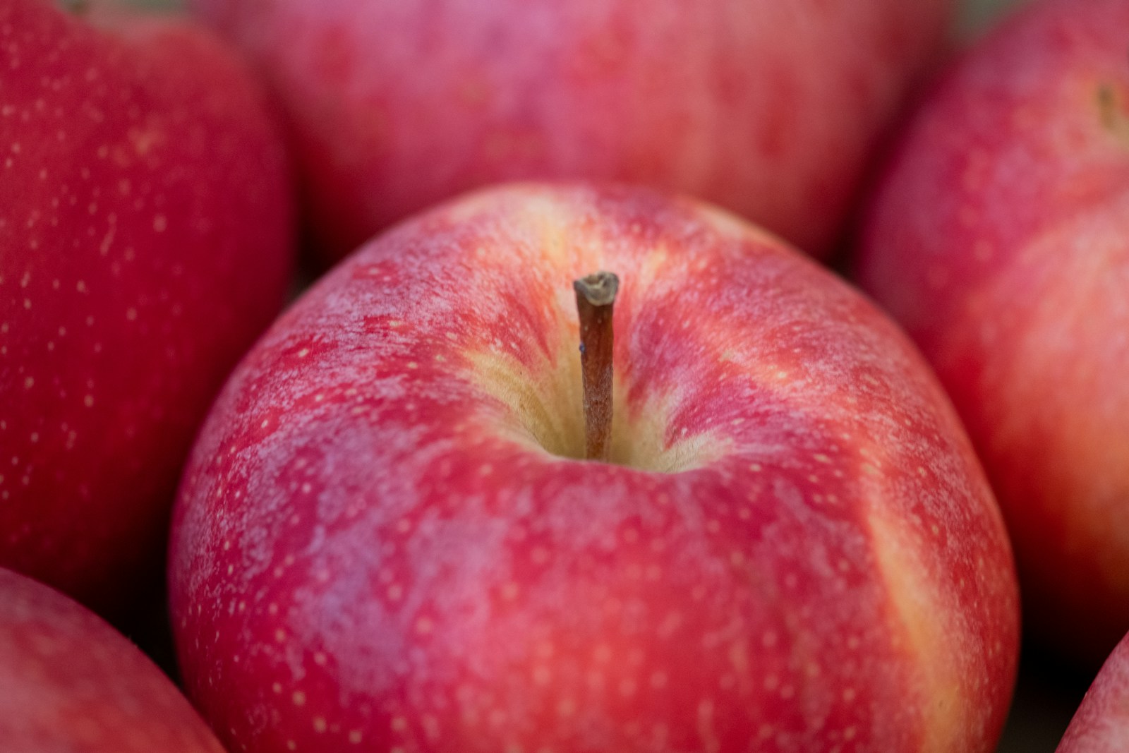 Cele i zadania promocji zdrowia: Jak poprawić jakość życia? red apple fruit on red textile
